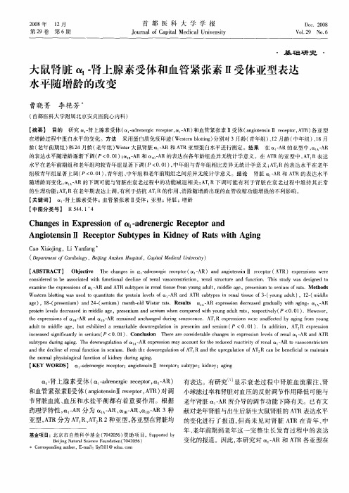 大鼠肾脏α1-肾上腺素受体和血管紧张素Ⅱ受体亚型表达水平随增龄的改变