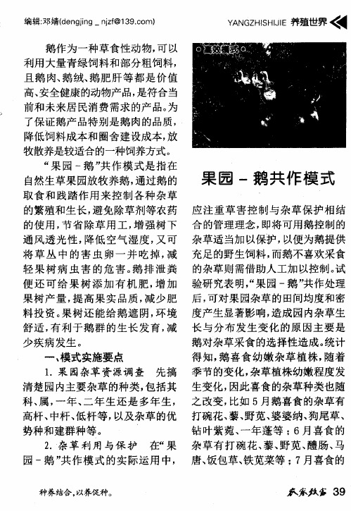 果园-鹅共作模式