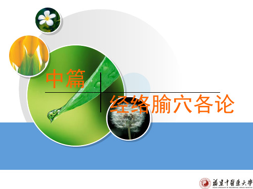 3肺经讲解12精品PPT课件