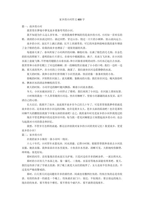 家乡的小河作文600字优秀作文_1