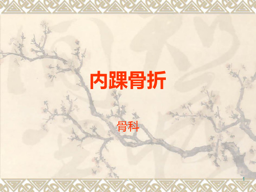 内踝骨折PPT课件