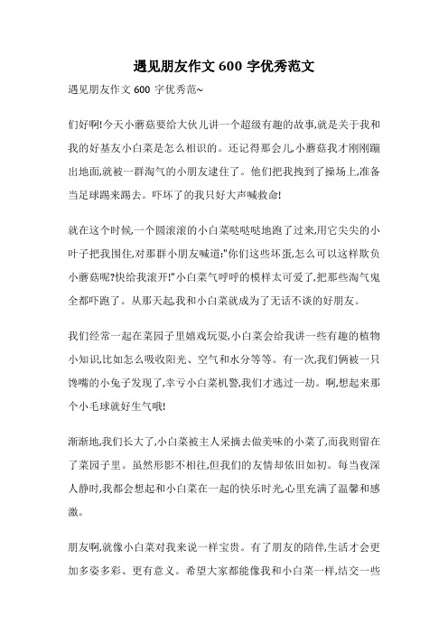 遇见朋友作文600字优秀范文