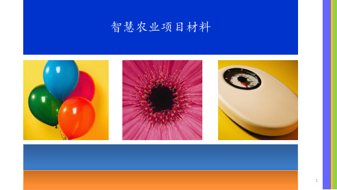 智慧农业项目材料ppt课件
