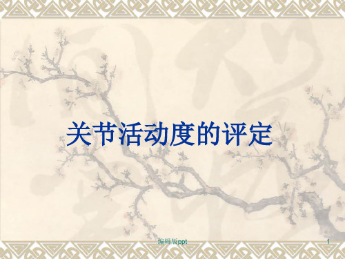 关节活动度的评定医学PPT