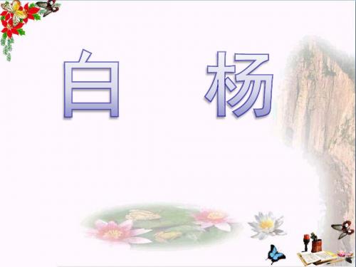 五年级语文下册第14课《白杨》教学优秀PPT课件冀教版