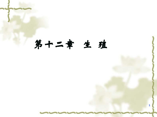 《生殖》PPT课件