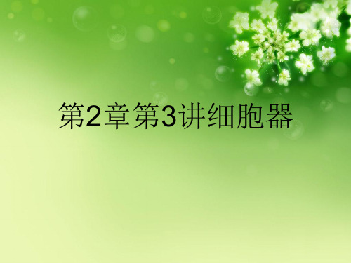 第2章第3讲细胞器优秀课件