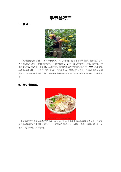 重庆特产