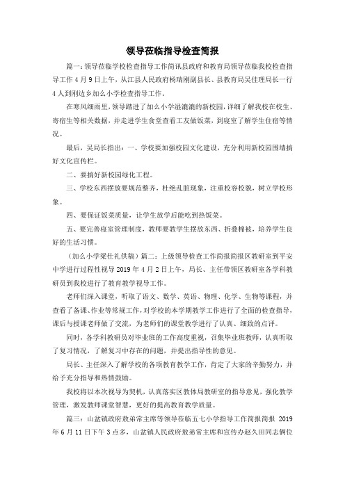 最新-领导莅临指导检查简报 精品