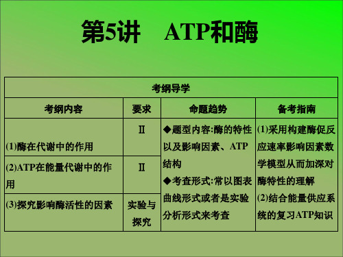 第5讲 酶和ATP--2021年高考一轮复习生物课件(共55张PPT)
