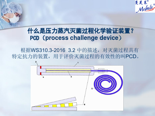 pcd压力蒸汽灭菌过程验证装置知识