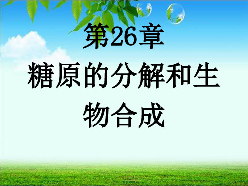 王镜岩-生物化学-第26章糖原的分解和生物合成教材