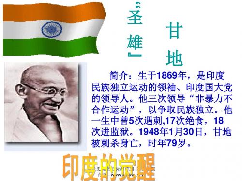 12印度的觉醒-1