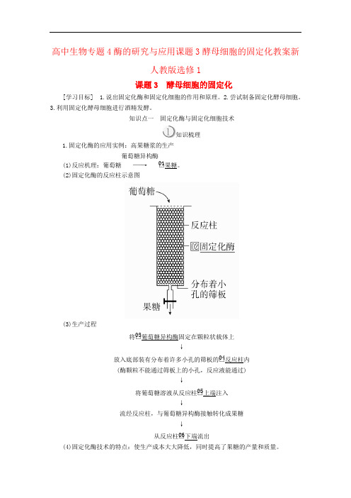 高中生物专题4酶的研究与应用课题3酵母细胞的固定化教案新人教版选修1