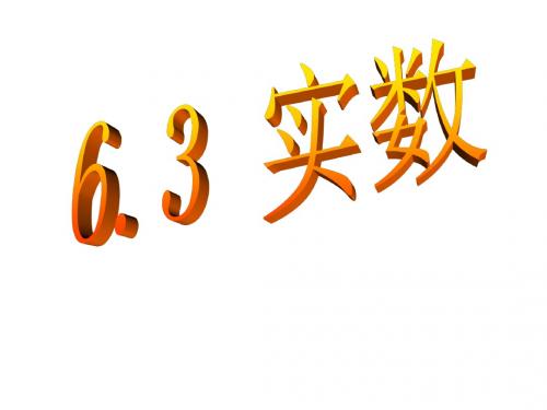6.3实数2