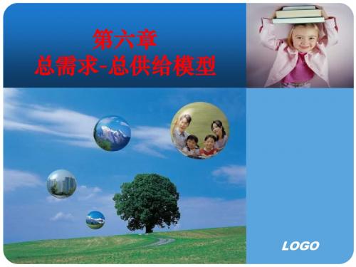 宏观经济学第六章