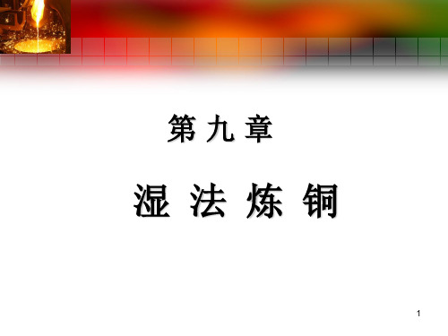 湿法铜冶炼工艺精选PPT