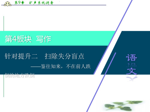 江苏省高考语文大二轮复习课件：写作 2 针对提升二 扫除失分盲点