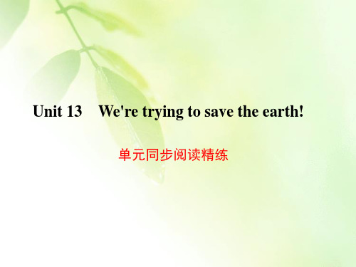 九年级英语Unit 13 We're trying to save the earth!单元同步阅读精练