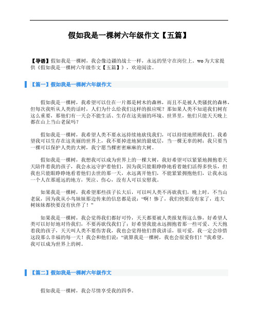 假如我是一棵树六年级作文【五篇】