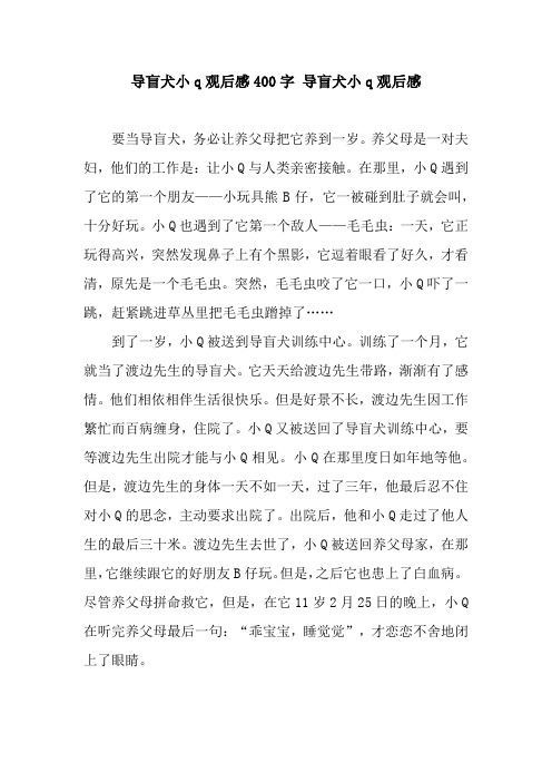 导盲犬小q观后感400字 导盲犬小q观后感