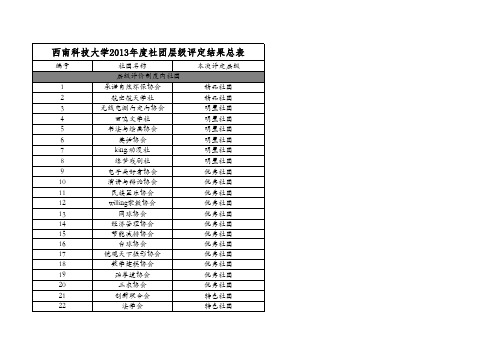 2013年社团层级评定结果表