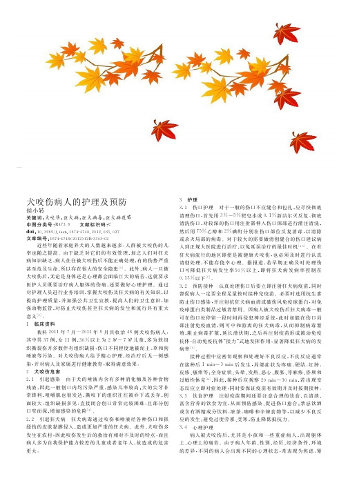 犬咬伤病人的护理及预防