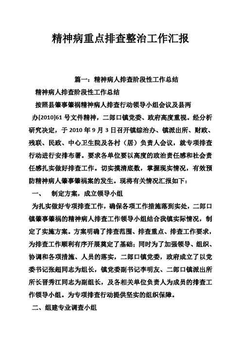 精神病重点排查整治工作汇报