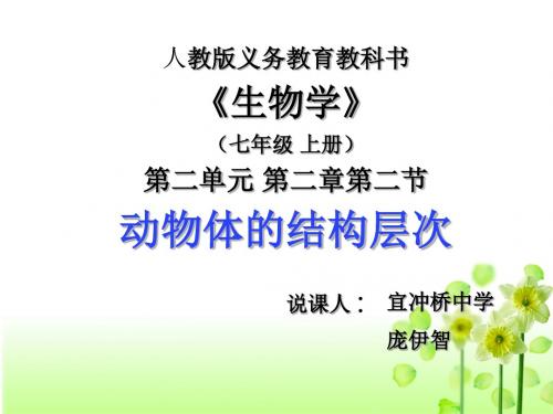 动物体的结构层次 说课演示文稿