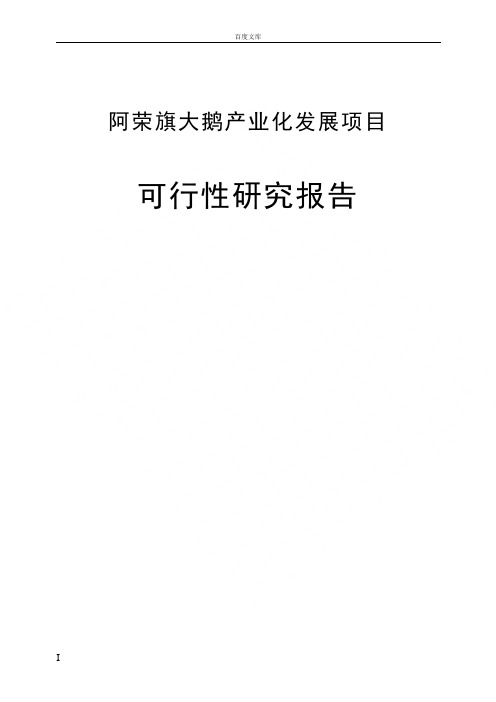 大鹅产业化发展项目
