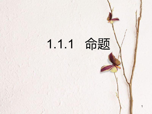 高中数学 第一章 常用逻辑用语 1.1.1 命题课件1 新人教A版选修1-1.ppt