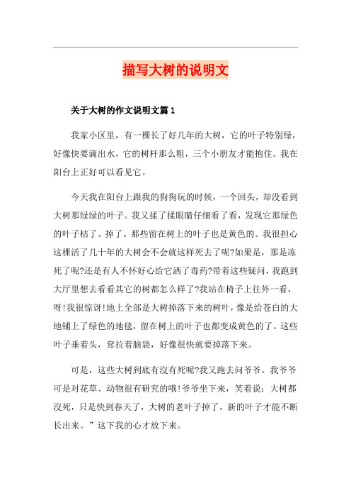 描写大树的说明文