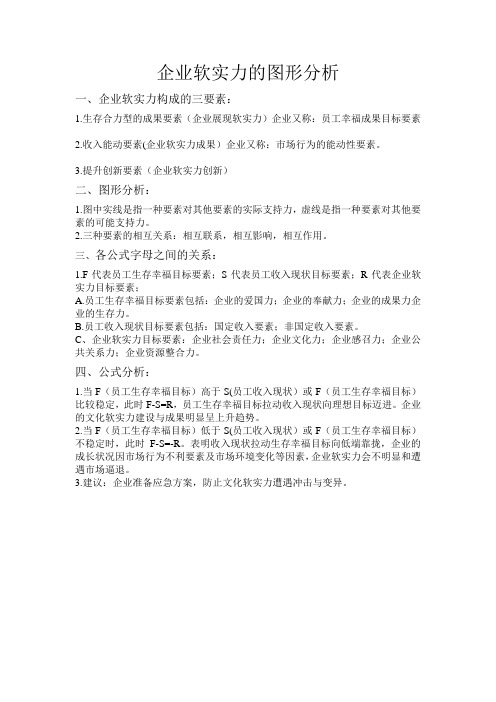 企业软实力图形分析