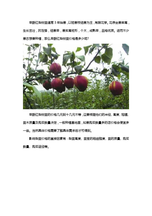 早酥红梨树苗多少钱