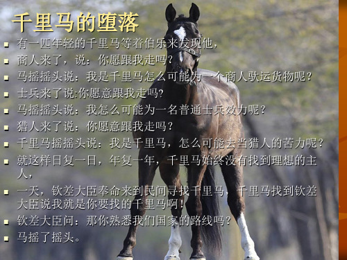 毛竹的故事