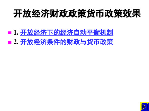 开放经济财政政策货币政策效果-66页精选文档