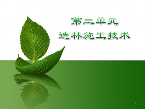 造林施工技术PPT课件