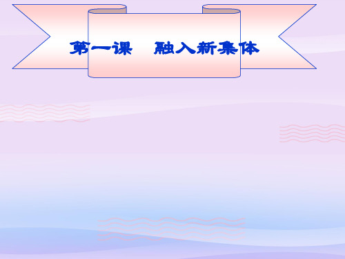 融入新集体ppt优秀课件9 粤教版PPT课件