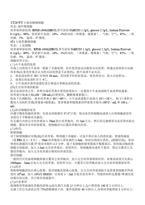 4T1、CT26.WT细胞培养