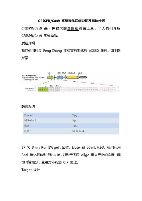 CRISPR Cas9 系统操作详细说明及具体步骤