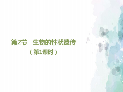 北京课改版生物-八年级上册-高效备课 《生物的性状遗传》第1课时教学课件