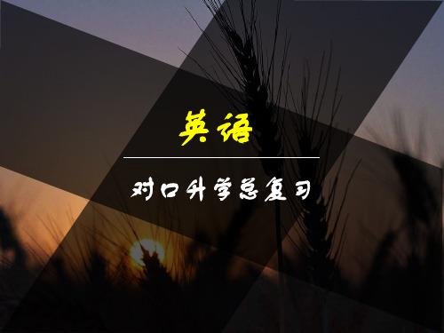 对口高职英语总复习专题1-单项选择讲课稿