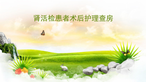肾穿护理查房ppt课件