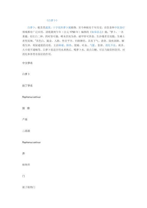 白萝卜