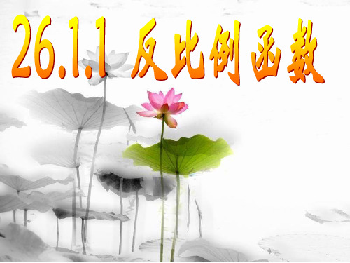 《反比例函数》参考1PPT课件