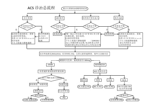 ACS诊治总流程图