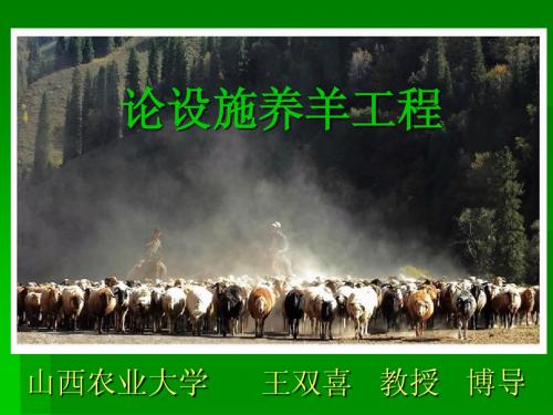 论设施养羊工程