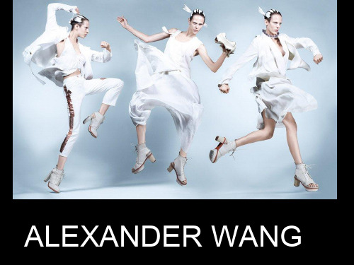 AlexanderWang品牌介绍