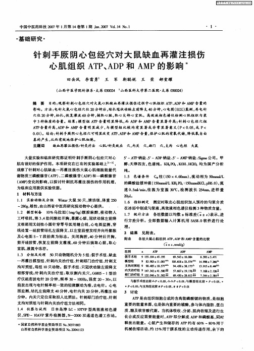 针刺手厥阴心包经穴对大鼠缺血再灌注损伤心肌组织ATP、ADP和AMP的影响