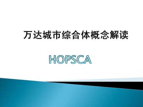 万达综合体概念解读
